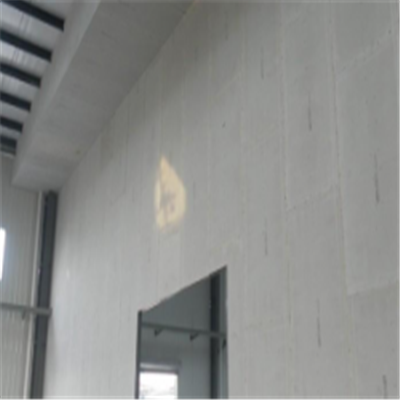 庐山宁波ALC板|EPS加气板隔墙与混凝土整浇联接的实验研讨